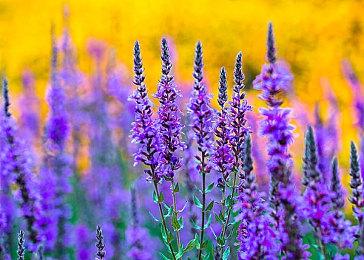 打得痛快 刷得过瘾《英勇之地》端游今日正式公测