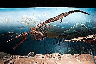 《守望先锋：归来》新PVE模式即将上线 “怪鼠复仇”续集