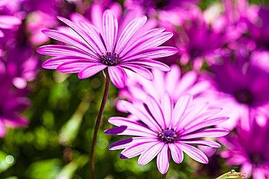 《心灵杀手2》新增“New Game+”模式