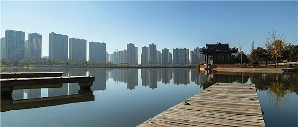 AMD下代三大GPU核心靓照公布：瘦成一道闪电