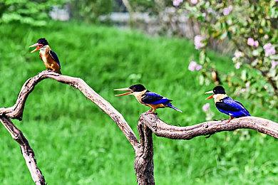 英国CMA初步批准微软收购动视暴雪 交易已无障碍
